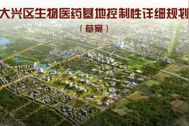 重磅出炉！大兴生物医药基地控制性详细规划图片