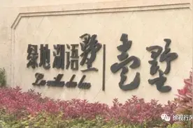 “装修”还是“装休”？徐州这套别墅装了18个月还不能住人？图片