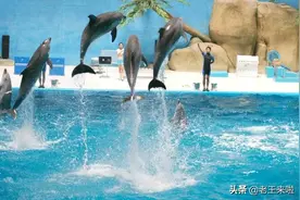 总投资10亿元！徐州海洋极地世界明年“五一”全面开放！图片