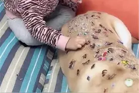 ​延迟上学的孩子在家“作妖”，狗狗被折腾得生无可恋：快点开学图片