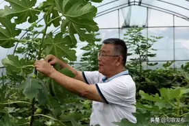 载誉归来！赵亚夫和阮祥忠这样说……图片