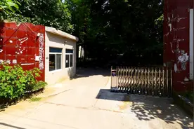 路过武汉城区一处废弃文创园：被森林覆盖，破败建筑遍布流浪狗图片