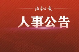 海口发布拟任干部人选公告图片