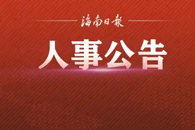 海口发布拟任干部人选公告图片