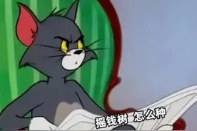 趣味表情包，聊天必备图片