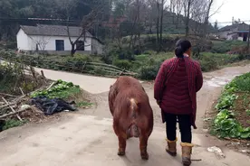 1941年，小八路被山东哑妇用乳汁救活，后成厅级干部，这样报答她图片
