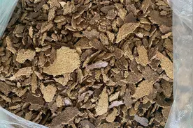 发酵些菜籽饼肥，成本低，方法简单，能改善土壤，提升口感和产量图片