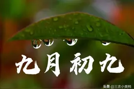 天气预报：今天九月初九，秋雨绵绵有啥说法？看看老祖宗怎么说图片
