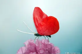 这么美丽的两只蝴蝶居然是两种捡来的花瓣拼的，你看出来了吗图片