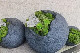 四段情最终孑然一身的女人 让五月儿对未来忧心忡忡图片