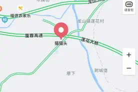 贵州的朋友是真的很喜欢“猫猫”诶图片