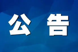 西和县2021年城区学校公开遴选教师公告图片