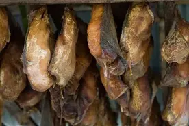 糟糕的食物：从鸟屁股里吸食内脏，公厕味道的食物图片
