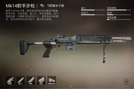 和平精英：武器中部分伤害高的它们，萌新不敢捡，操作要求太高图片