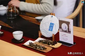 冰岛原料制成的白茶是否还具有冰糖韵？《山月》告诉你图片