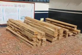 连破8起柏木被盗案图片