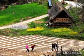 不能剥夺人民群众在中国传统方言中说：“草包”的权力！图片