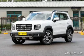 新车 | 将于9月下旬正式上市 哈弗大狗边牧版到店图片