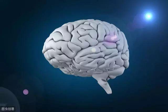 科普:大脑和小脑的区别,右脑的功能较左脑看起来更"高端"?