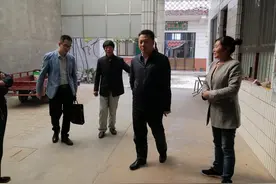 白水：卢林指导许家河村"三排查三清零"及中省反馈问题整改工作图片