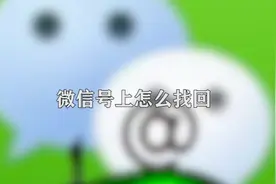 怎么找回微信号图片