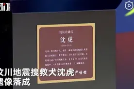 汶川地震搜救犬沈虎遗像落成，它救出15名幸存者也因此心肺功能受损图片