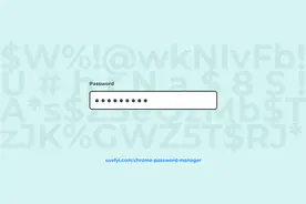 Chrome密码管理器：用还是不用？图片