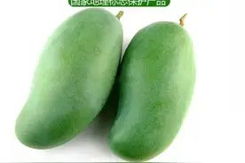 芒果之乡-田东，正宗品质要的加V，自家果园图片