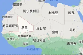 人类一次最多能生多少孩子？图片