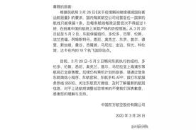 回国机票“炒”到10多万元！揭开天价票背后的黑幕图片