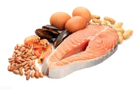 210626-关于脂肪，你应该知道的一些更完整的内容（长文）图片