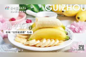 贵州生态水果亮相央视！黔果出山新品味图片