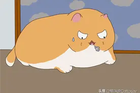 3个猫的情绪暗示，猫在告诉铲屎官心情不佳图片