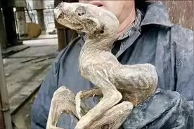 盘点那些在矿山里挖出的“怪物们”图片