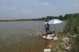 钓鱼趣事多，要数“三大怪”，你占了几条？图片