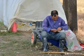 50多岁的他，每天和鸭子吃住在田间，镜头记录养鸭老汉的辛劳图片