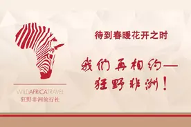 非洲小伙伴回国注意啦！上海浦东机场入境流程图片
