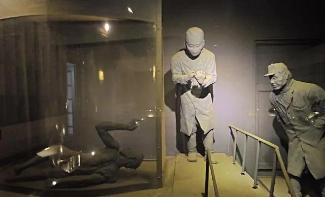 731实验 731实验纪录片(图2)