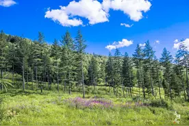 夏日避暑好去处，承德丰宁柳树沟，这里远离闹市，有最美的日落图片