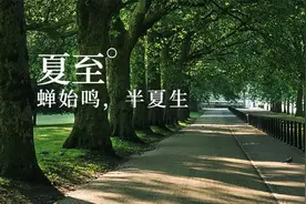 夏至养生| 天地阴阳交接之大时 3宜3忌 养好管一年图片