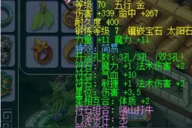 玩家精心打造精锐神木林，这身装备称得上极限简易吗图片