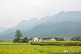 贺雪峰：从政策上区分扶贫与低保图片