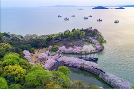 鼋头渚景区承包您一年的温暖图片