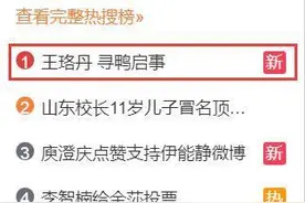 王珞丹深夜寻鸭，继王思聪的鸭子之后又一只鸭子登上头条图片