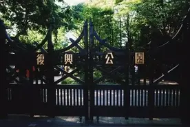 果然！当年踢碎“华人与狗不得入内”的不是陈真，竟是位花甲老人图片