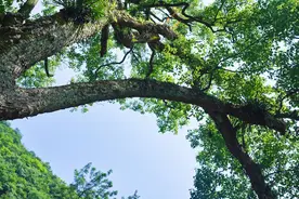 广西融水有个千古溶洞，徐霞客在此旅居13天，写下5000字游记图片