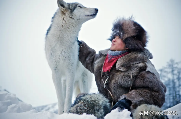 关于演绎狼的电影你知道哪些？