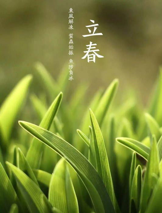 躲春什么意思怎么躲（民间说的躲春是什么意思谁需要躲）
