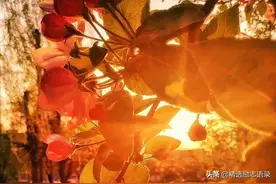 人，一旦断了联系图片