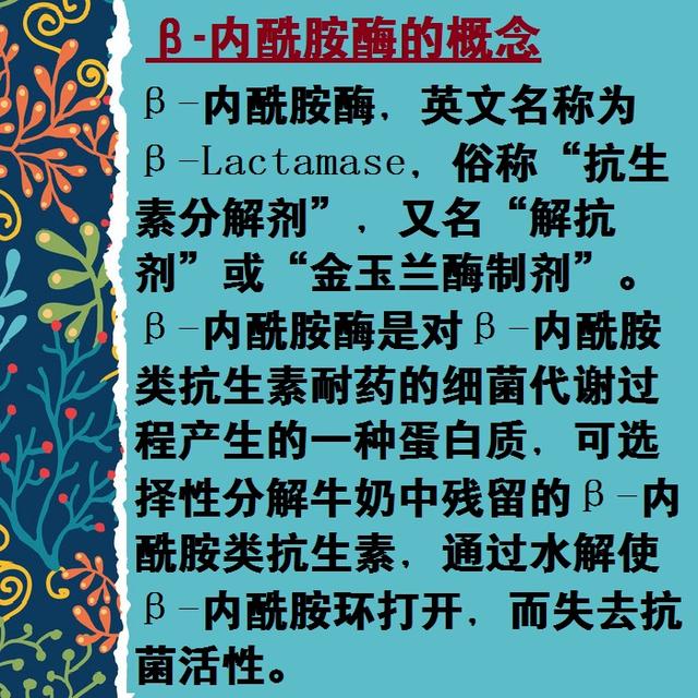 舌尖上的安全（8）——解读牛奶中的β-内酰胺酶